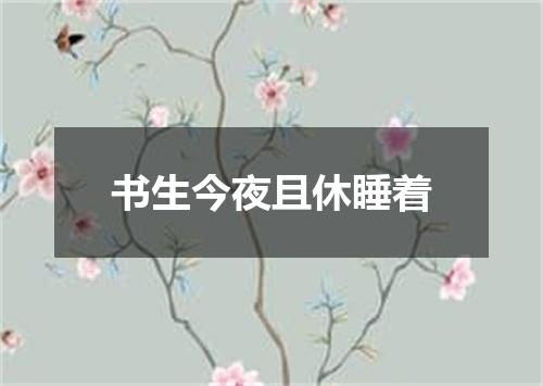 书生今夜且休睡着