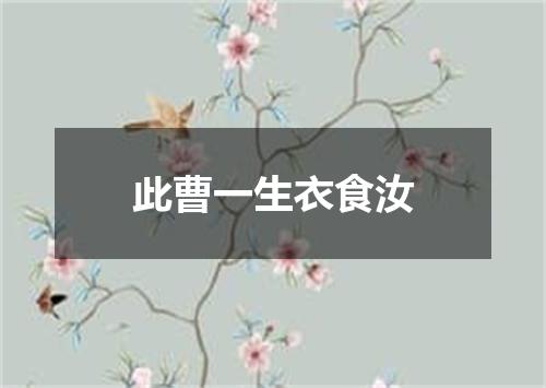 此曹一生衣食汝