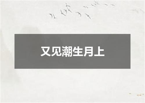 又见潮生月上