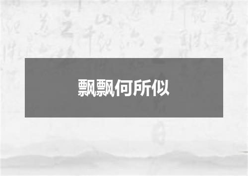 飘飘何所似