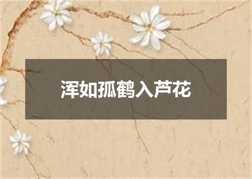浑如孤鹤入芦花