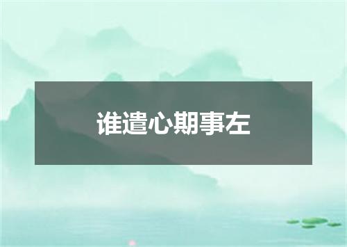 谁遣心期事左