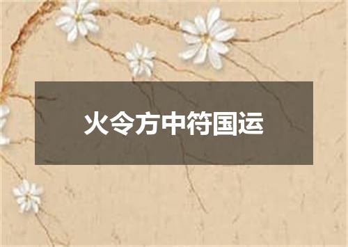 火令方中符国运