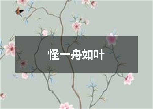 怪一舟如叶