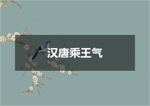汉唐乘王气