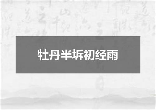 牡丹半坼初经雨