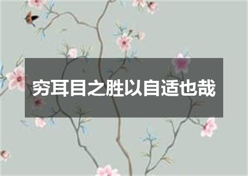穷耳目之胜以自适也哉
