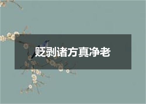 贬剥诸方真净老
