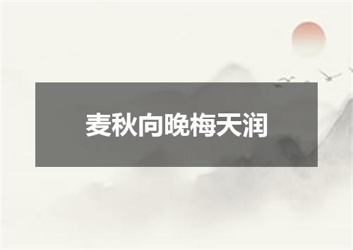麦秋向晚梅天润