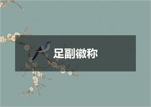 足副徽称