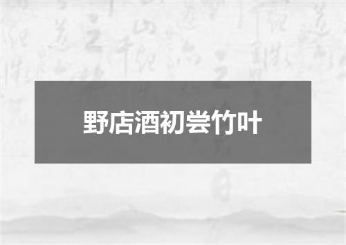 野店酒初尝竹叶