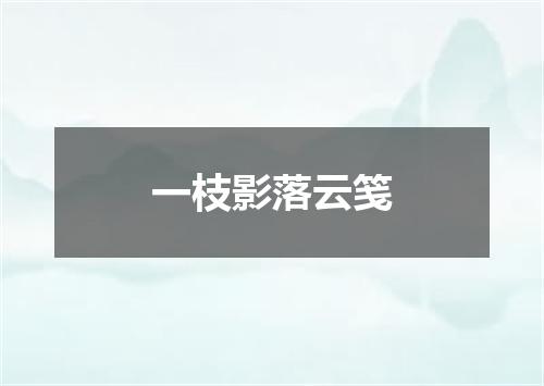 一枝影落云笺