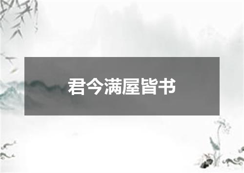 君今满屋皆书
