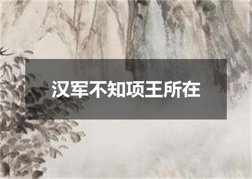 汉军不知项王所在