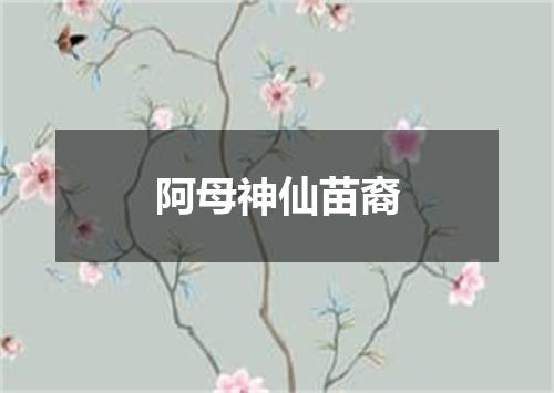 阿母神仙苗裔