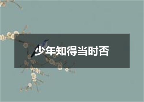 少年知得当时否