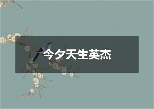 今夕天生英杰