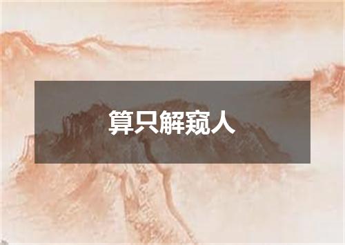 算只解窥人