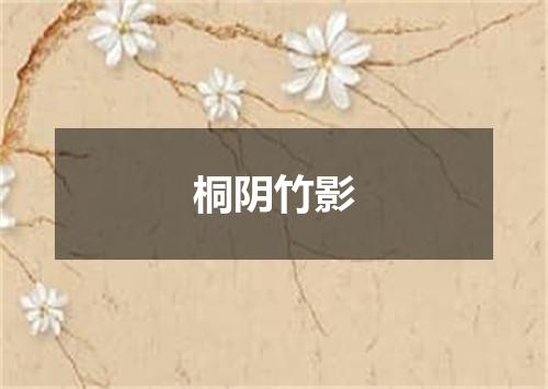桐阴竹影