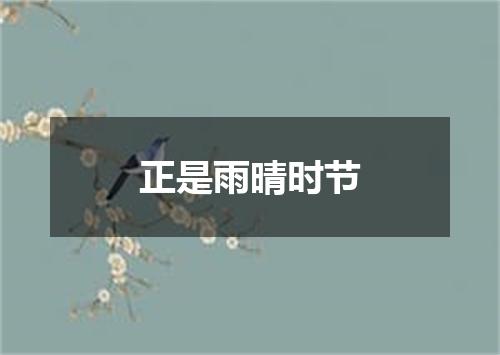 正是雨晴时节