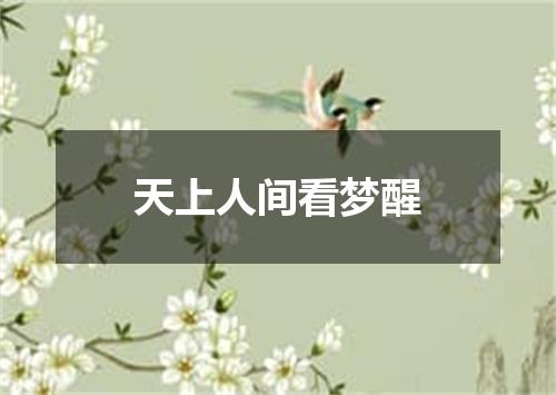 天上人间看梦醒