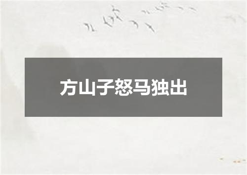 方山子怒马独出