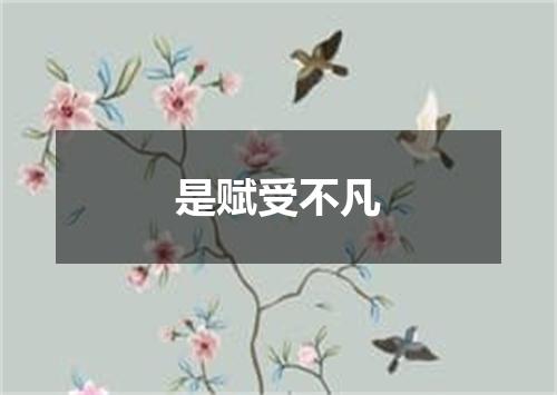 是赋受不凡