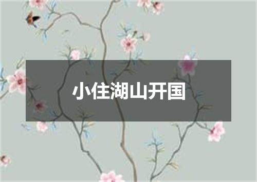 小住湖山开国