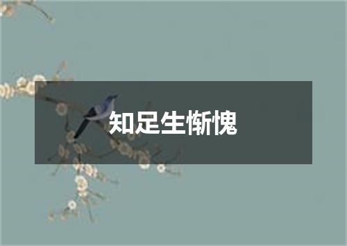 知足生惭愧