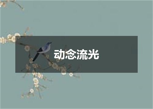 动念流光