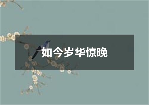如今岁华惊晚