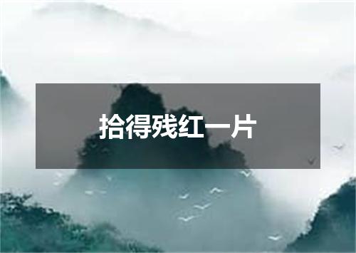 拾得残红一片