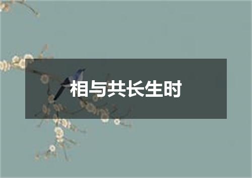相与共长生时