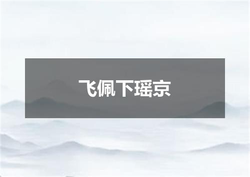 飞佩下瑶京