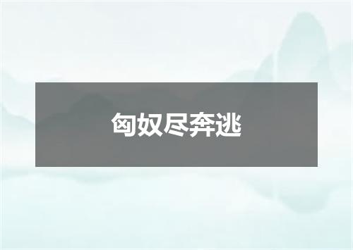 匈奴尽奔逃
