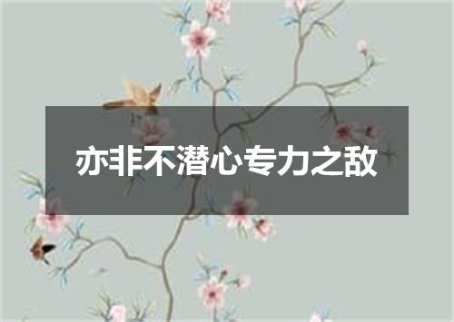 亦非不潜心专力之敌