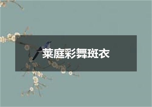 莱庭彩舞斑衣