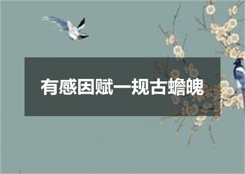 有感因赋一规古蟾魄