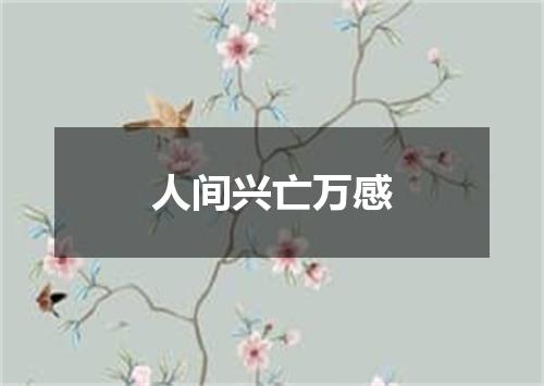 人间兴亡万感
