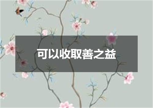 可以收取善之益