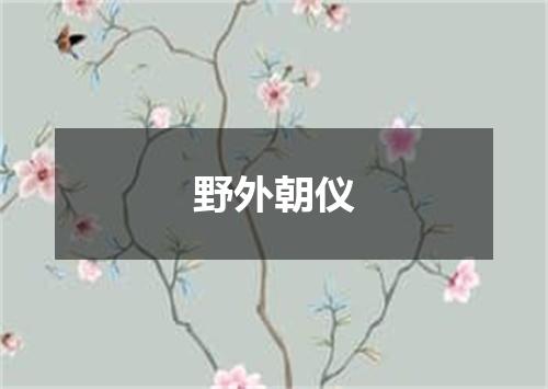 野外朝仪