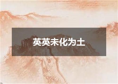 英英未化为土