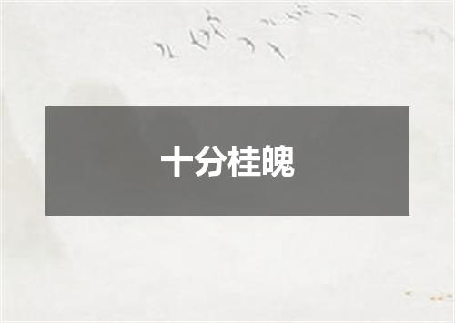 十分桂魄
