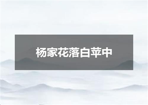 杨家花落白苹中