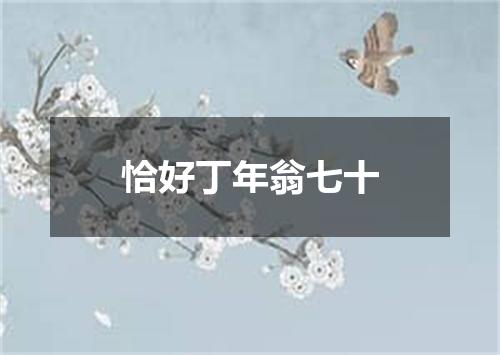 恰好丁年翁七十