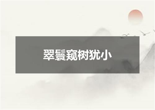 翠鬟窥树犹小