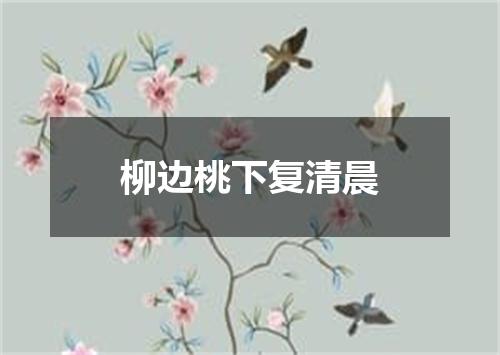 柳边桃下复清晨