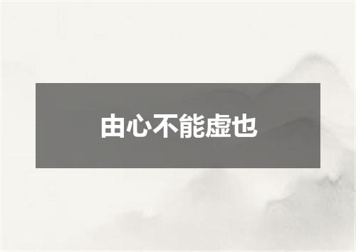 由心不能虚也