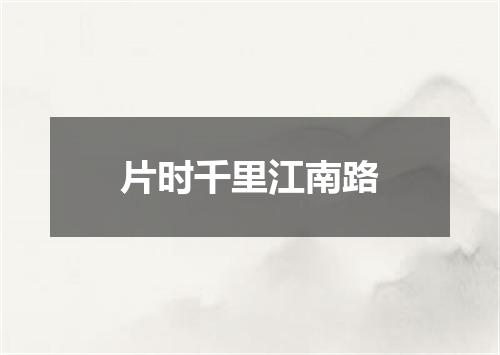 片时千里江南路