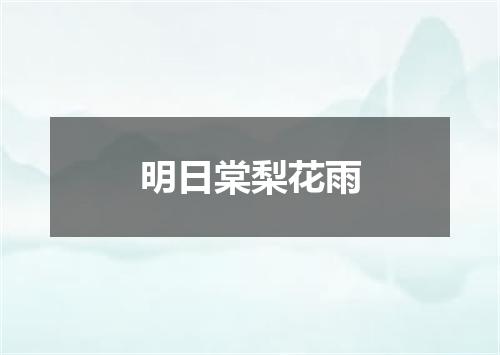明日棠梨花雨